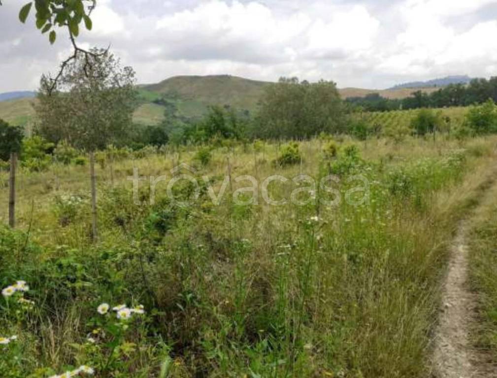 immagine annuncio 7 di 11