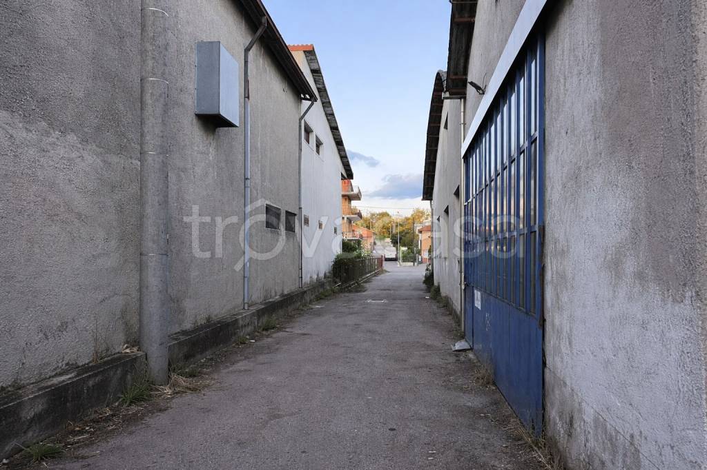 immagine annuncio 6 di 8