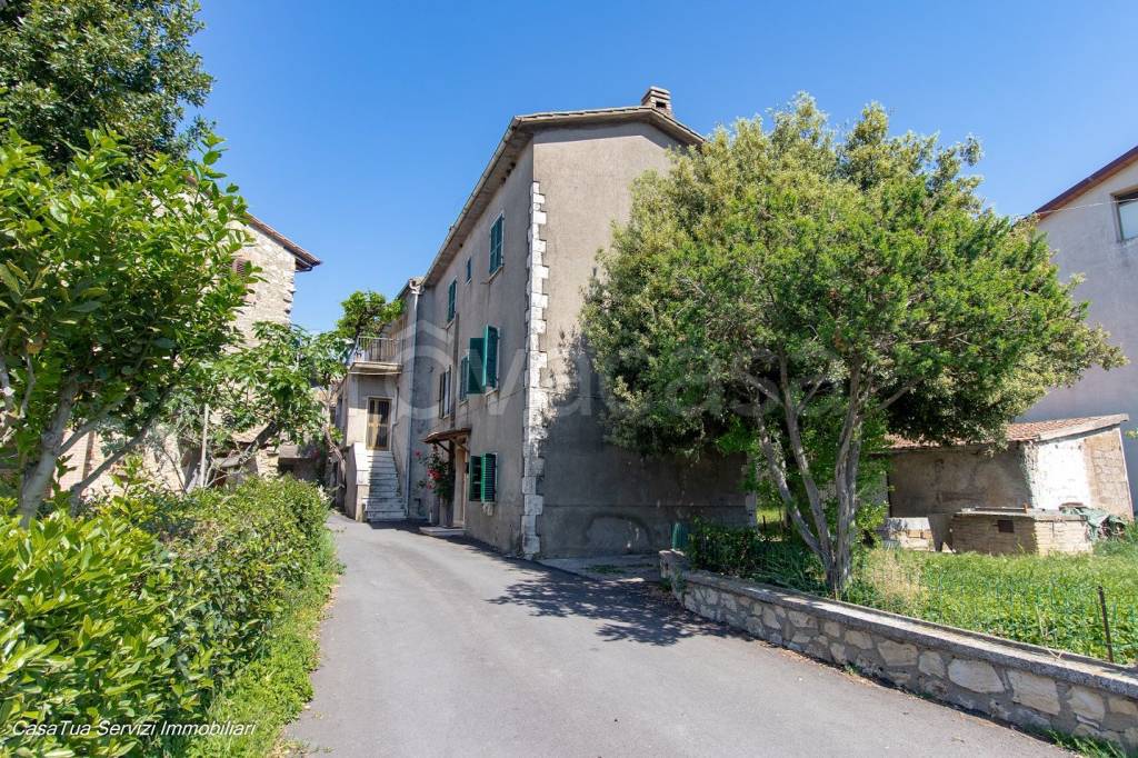 immagine annuncio 1 di 14