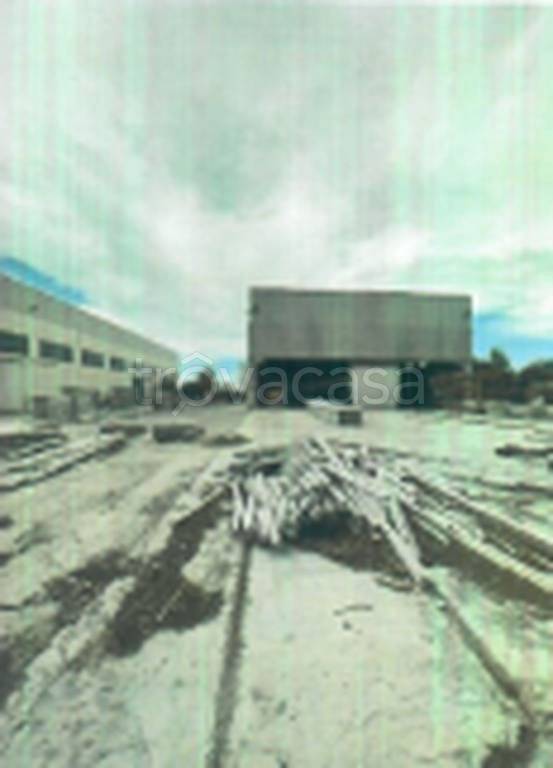 immagine annuncio 2 di 11