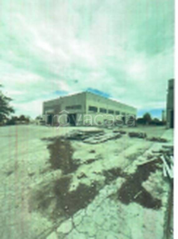 immagine annuncio 3 di 11