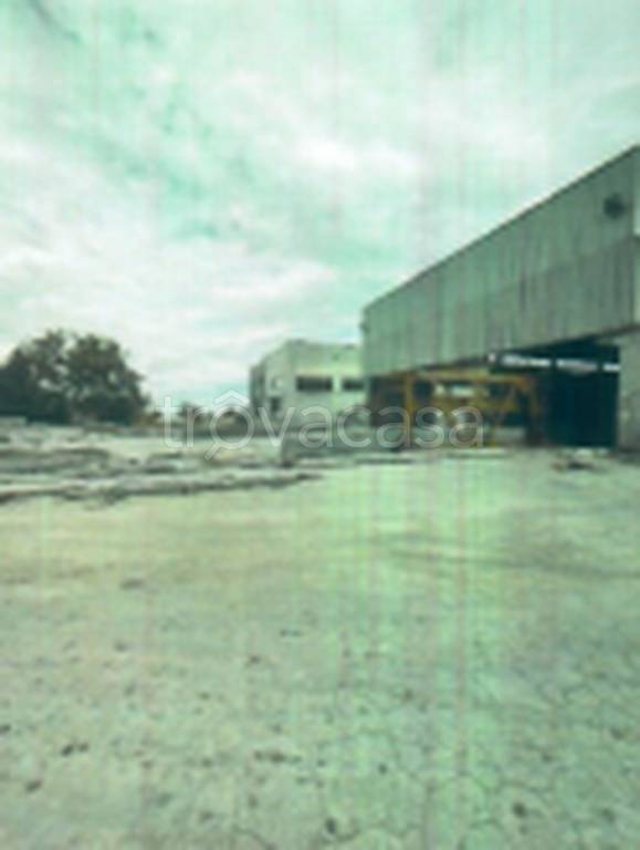 immagine annuncio 4 di 11