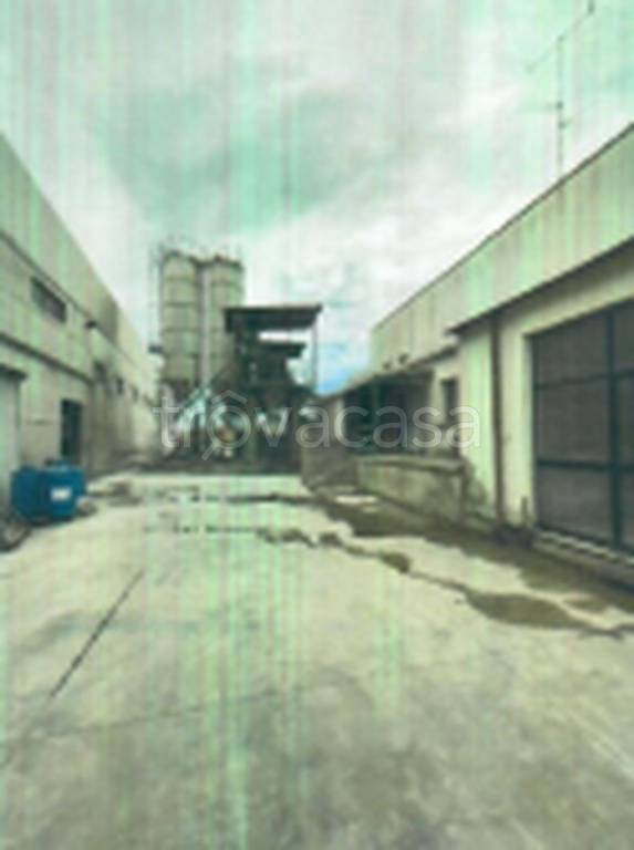 immagine annuncio 5 di 11