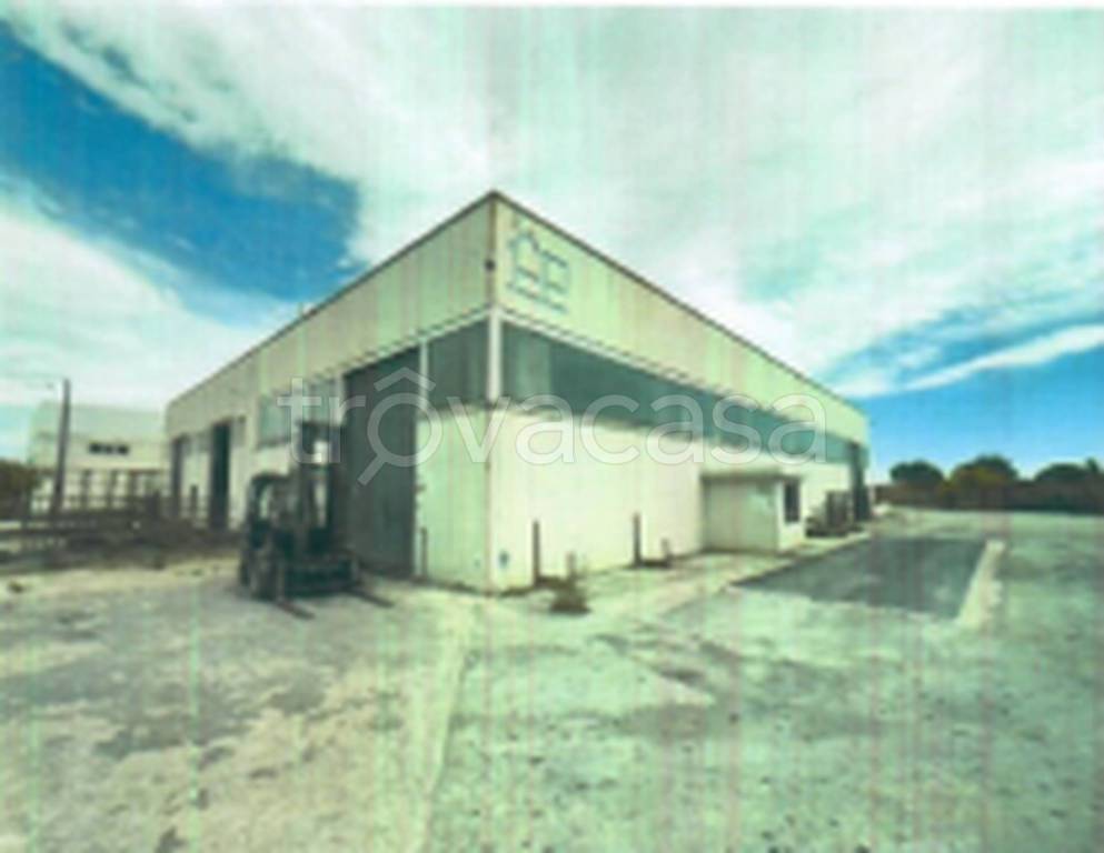 immagine annuncio 8 di 11