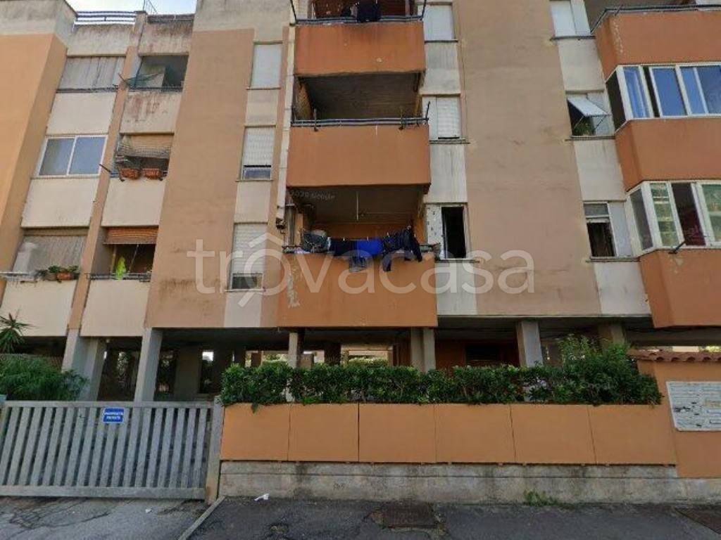 immagine annuncio 3 di 12