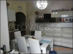 immagine annuncio 6 di 14