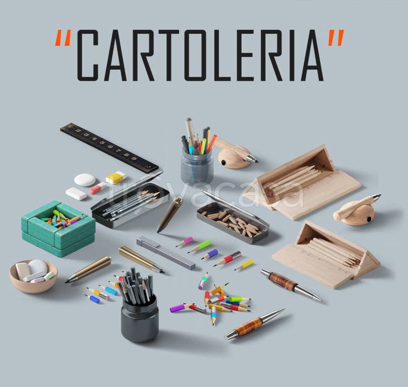 immagine annuncio 5 di 12