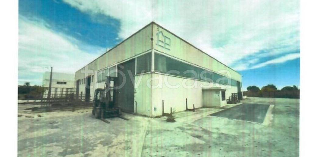 immagine annuncio 3 di 12