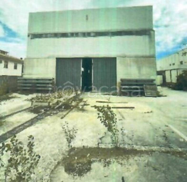 immagine annuncio 4 di 12