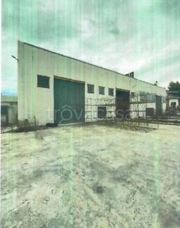 immagine annuncio 5 di 12