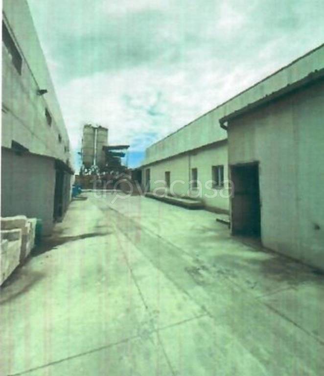 immagine annuncio 6 di 12