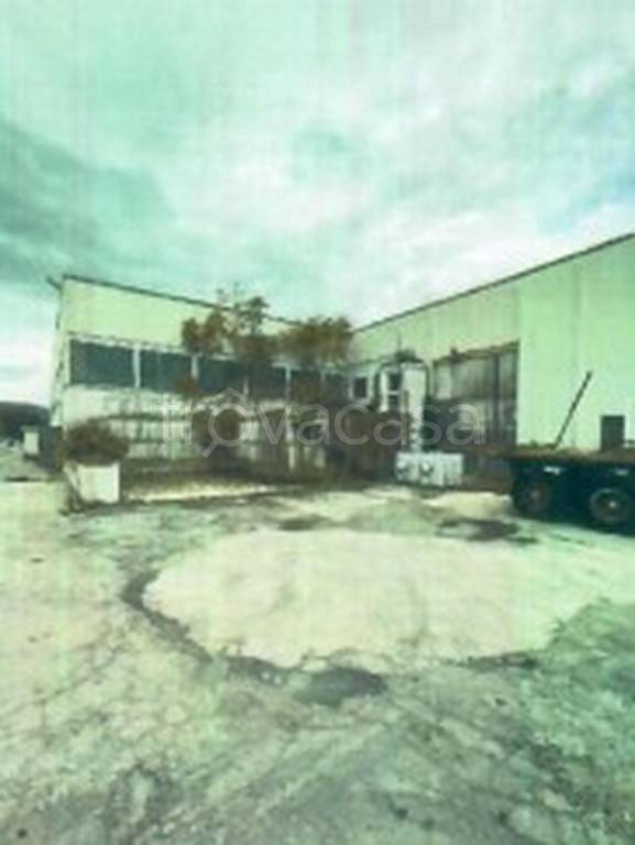 immagine annuncio 4 di 12