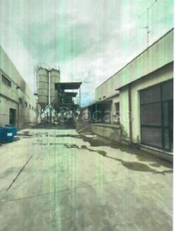 immagine annuncio 5 di 12