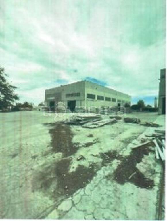 immagine annuncio 7 di 12