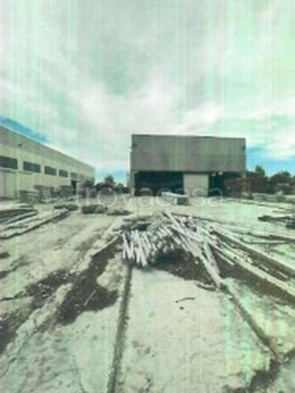 immagine annuncio 8 di 12