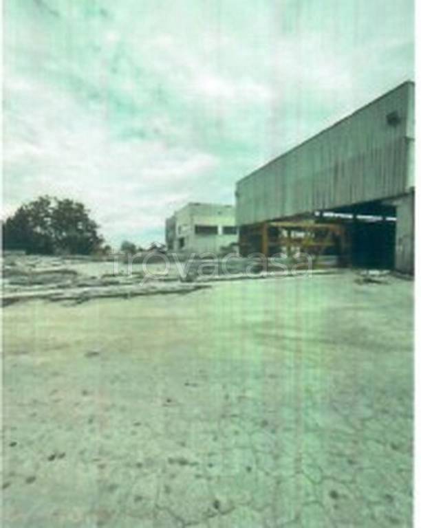 immagine annuncio 9 di 12