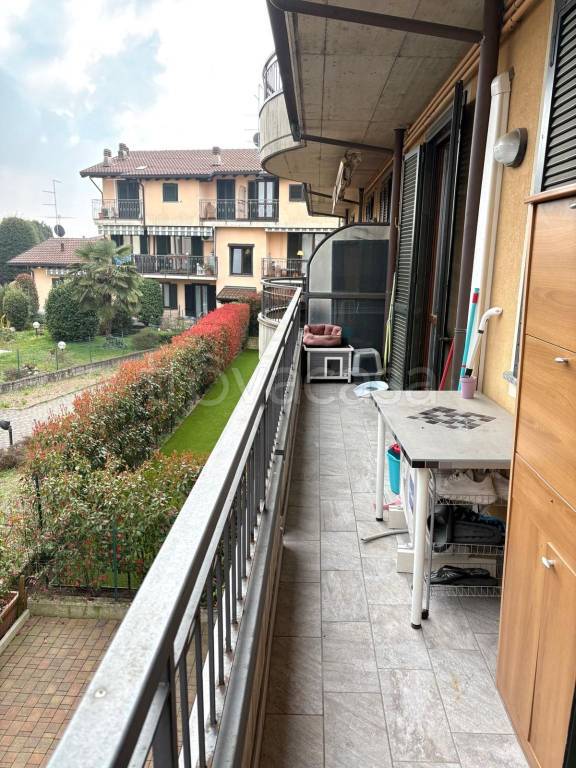 immagine annuncio 9 di 15