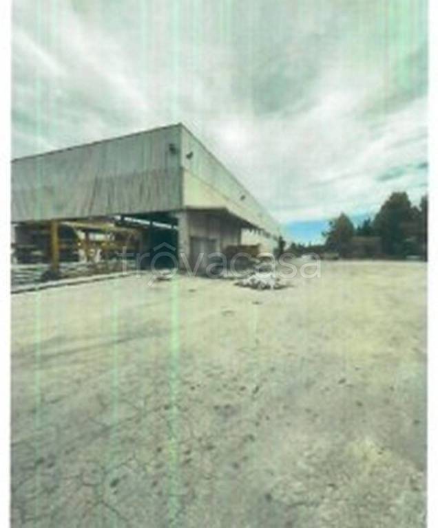 immagine annuncio 10 di 12