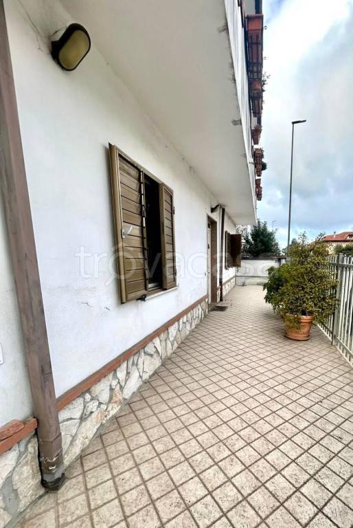 immagine annuncio 5 di 6