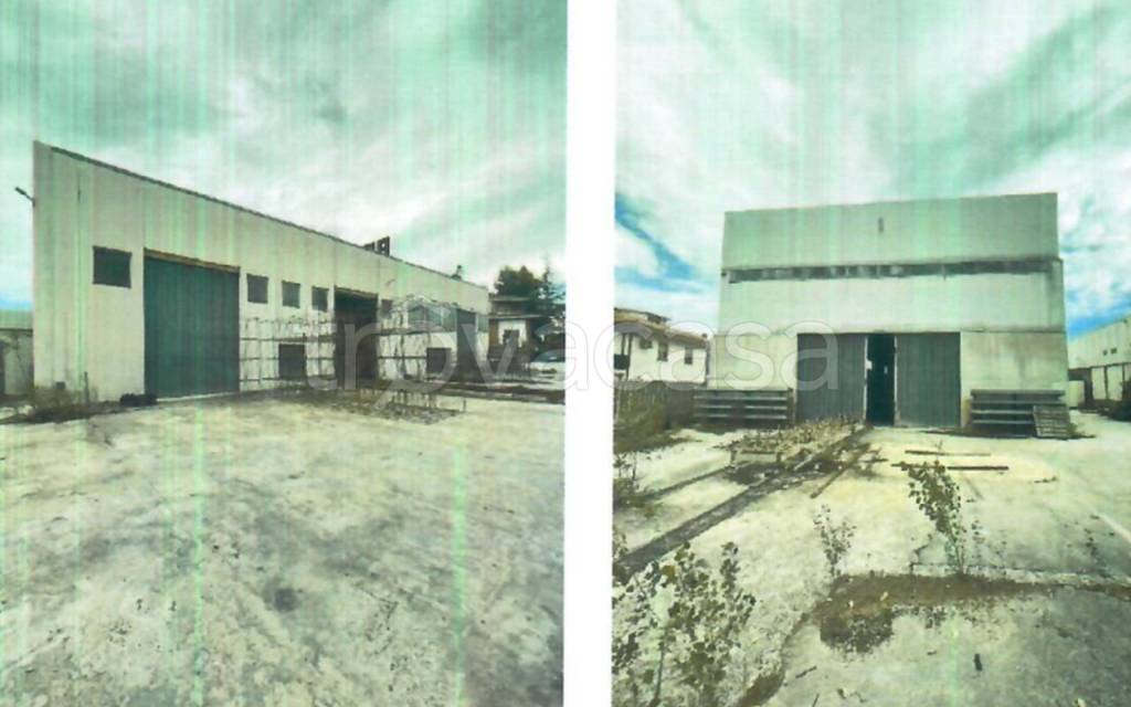 immagine annuncio 4 di 13