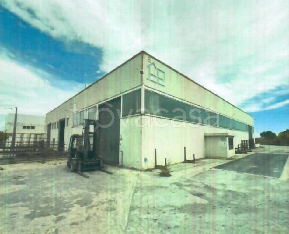 immagine annuncio 5 di 13