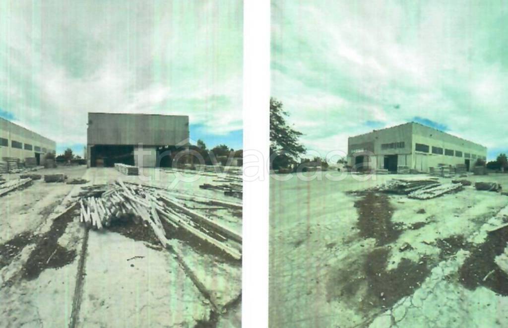 immagine annuncio 10 di 13