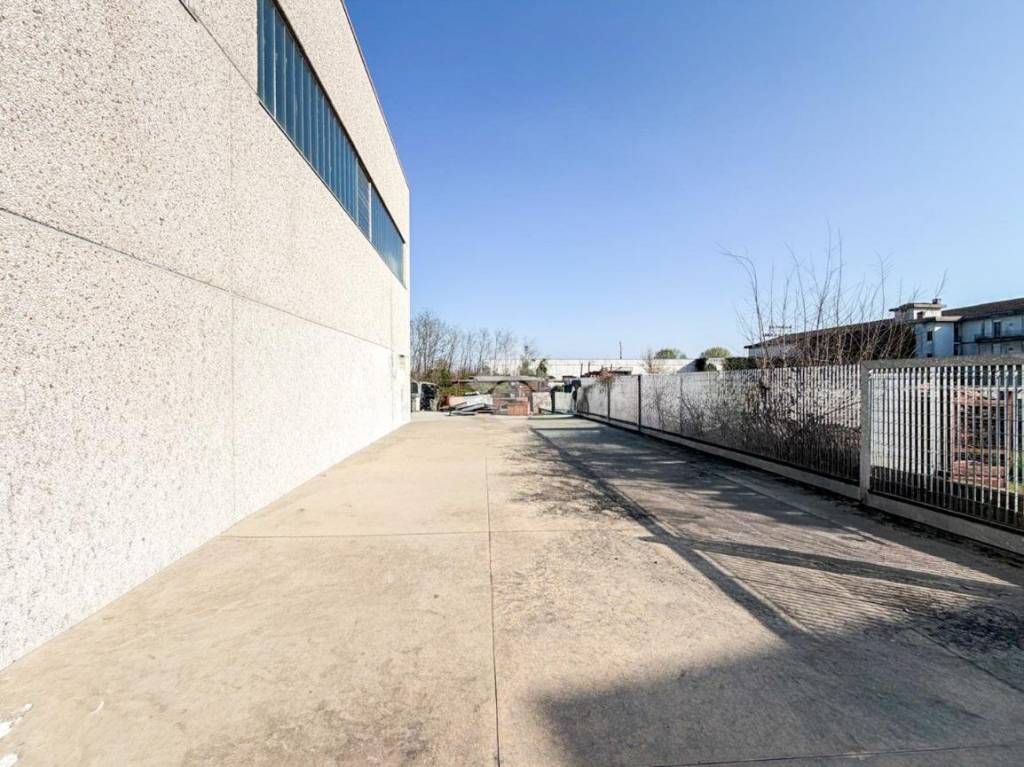 immagine annuncio 12 di 15