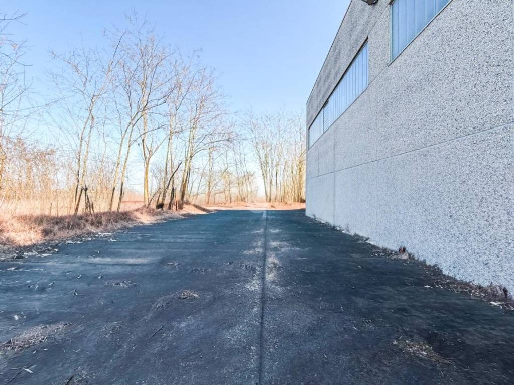 immagine annuncio 13 di 15