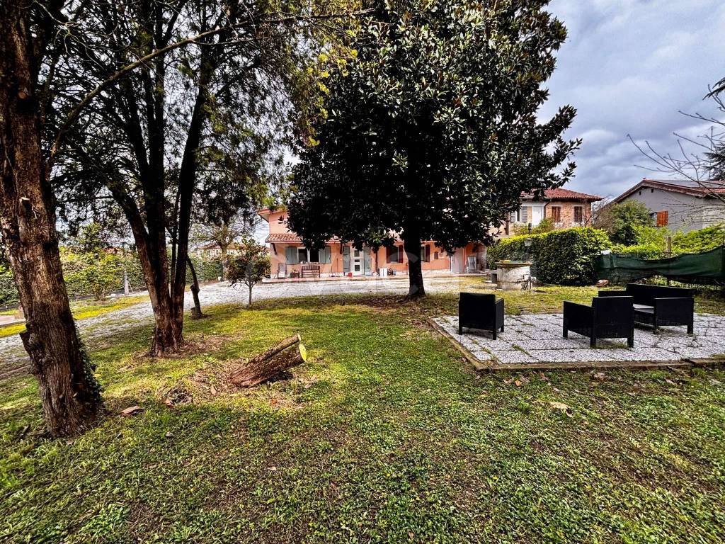 immagine annuncio 12 di 15