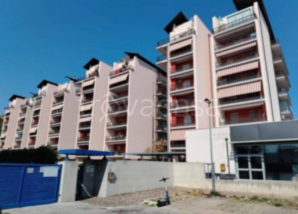 immagine annuncio 1 di 12