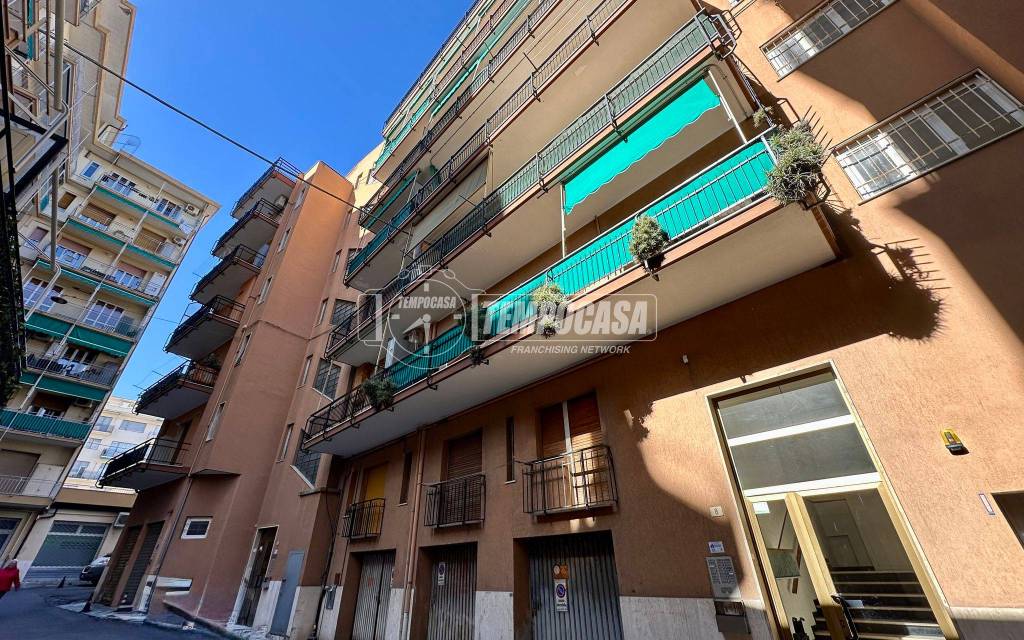 immagine annuncio 12 di 14