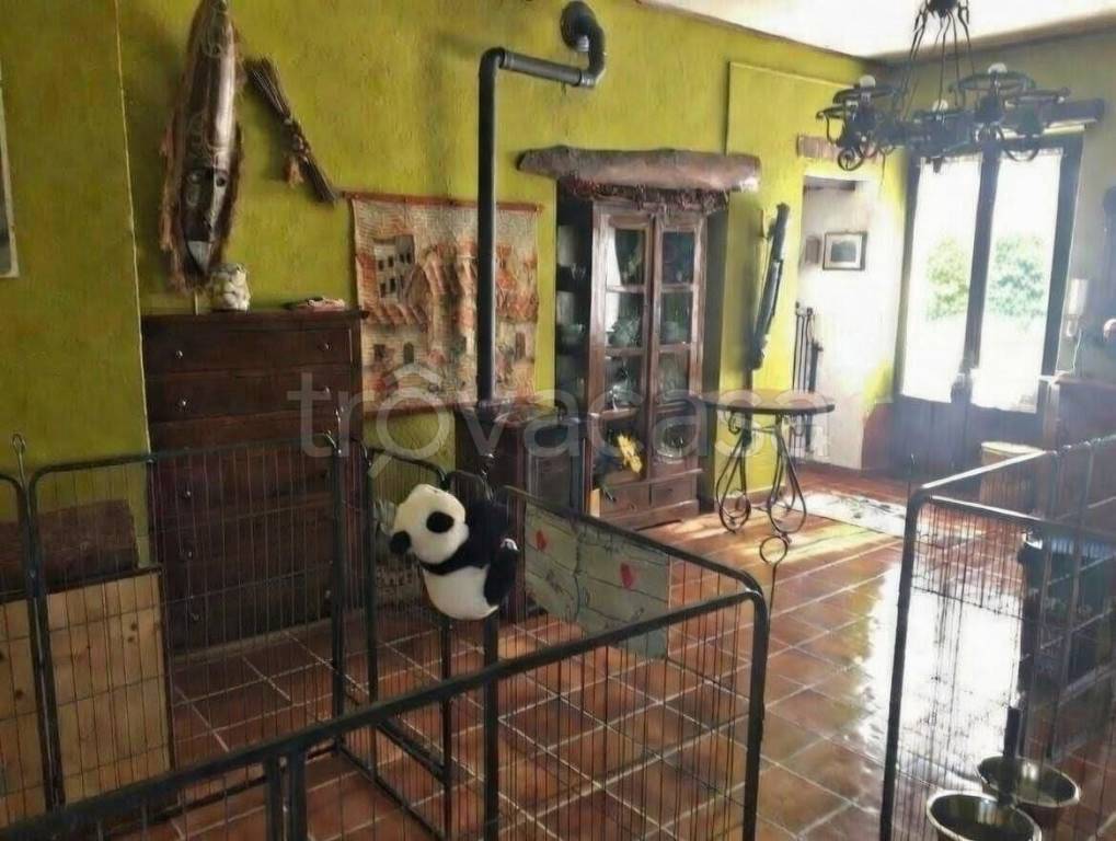 immagine annuncio 7 di 11