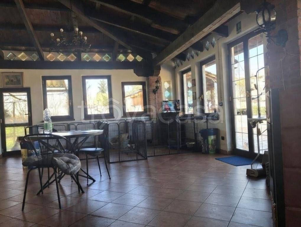 immagine annuncio 8 di 11