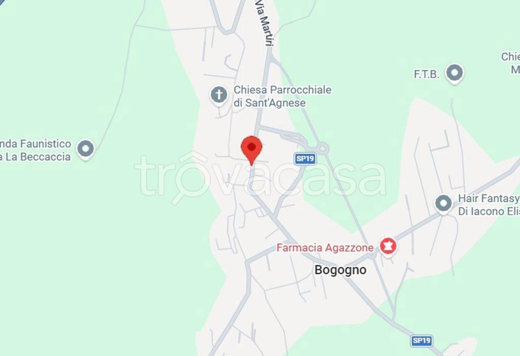 immagine annuncio 2 di 11