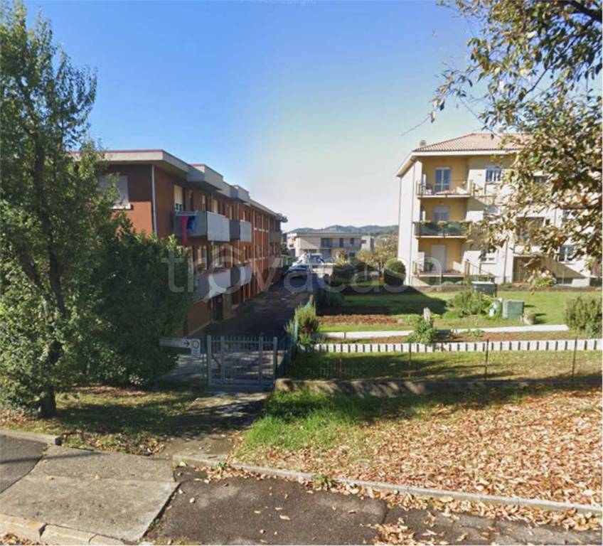 immagine annuncio 5 di 14