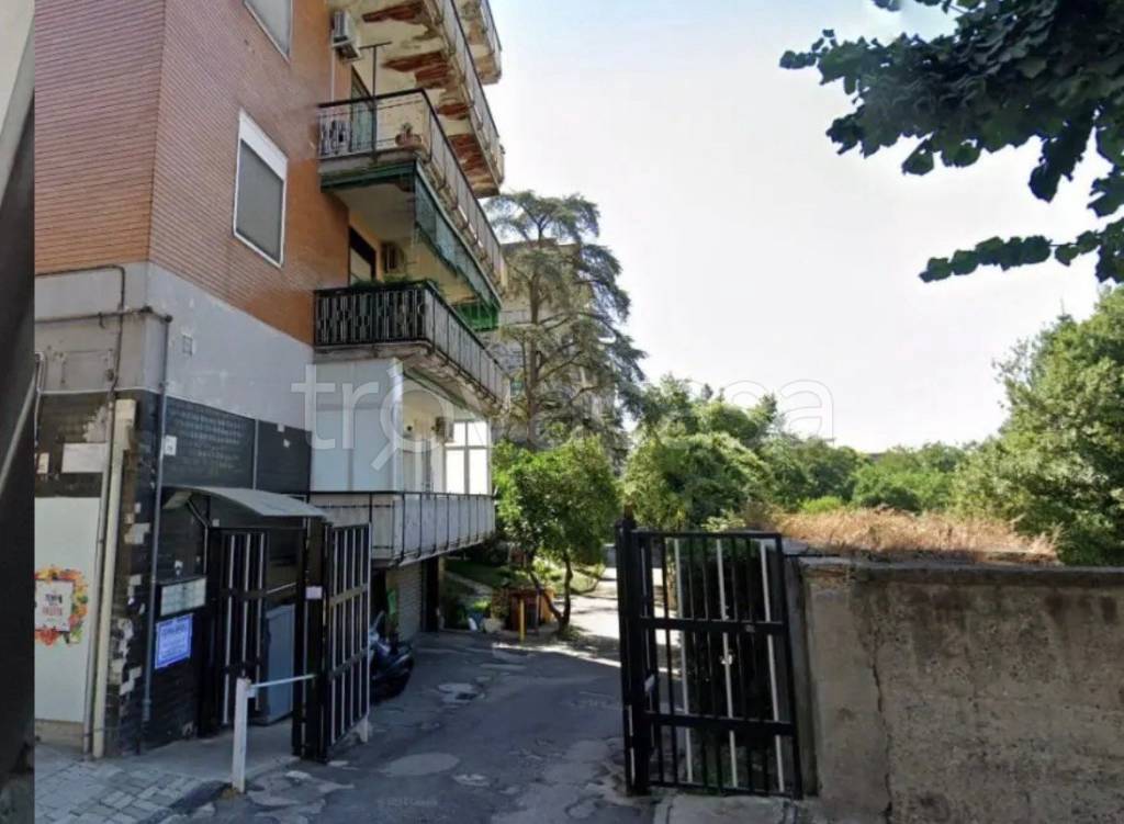 immagine annuncio 1 di 6