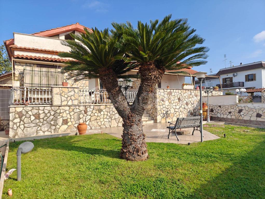 immagine annuncio 4 di 15