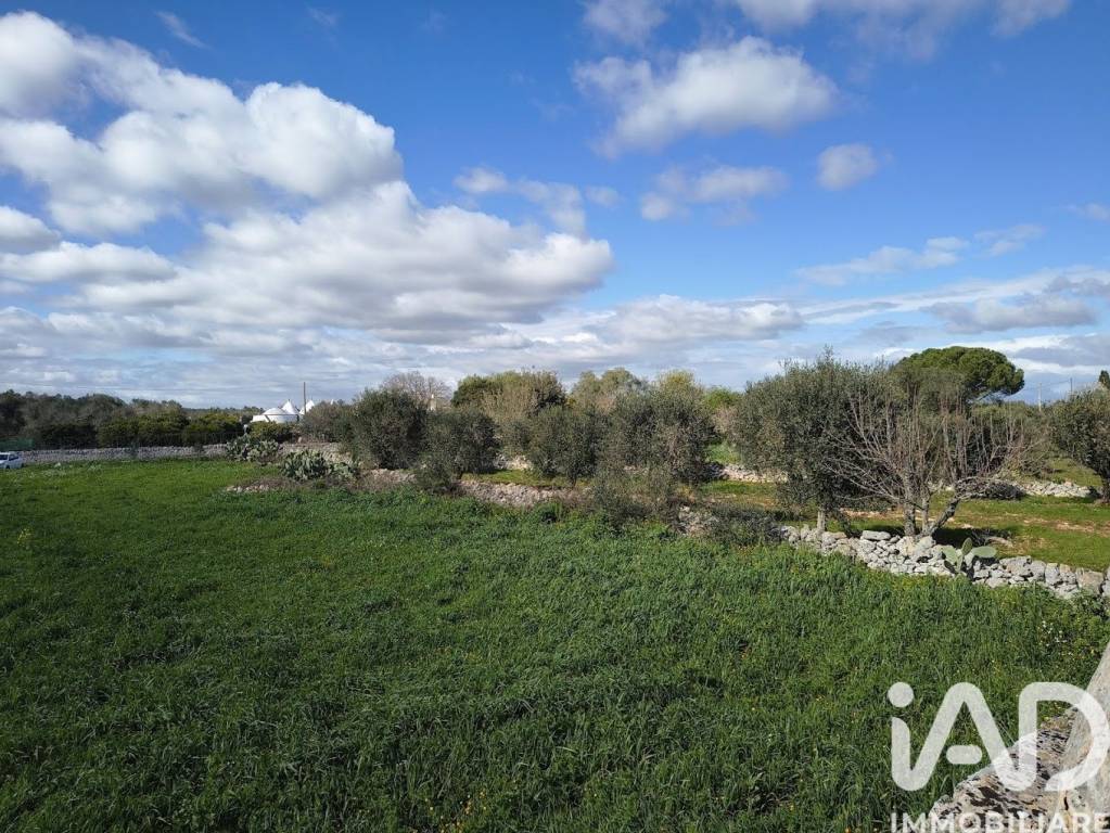 immagine annuncio 3 di 8