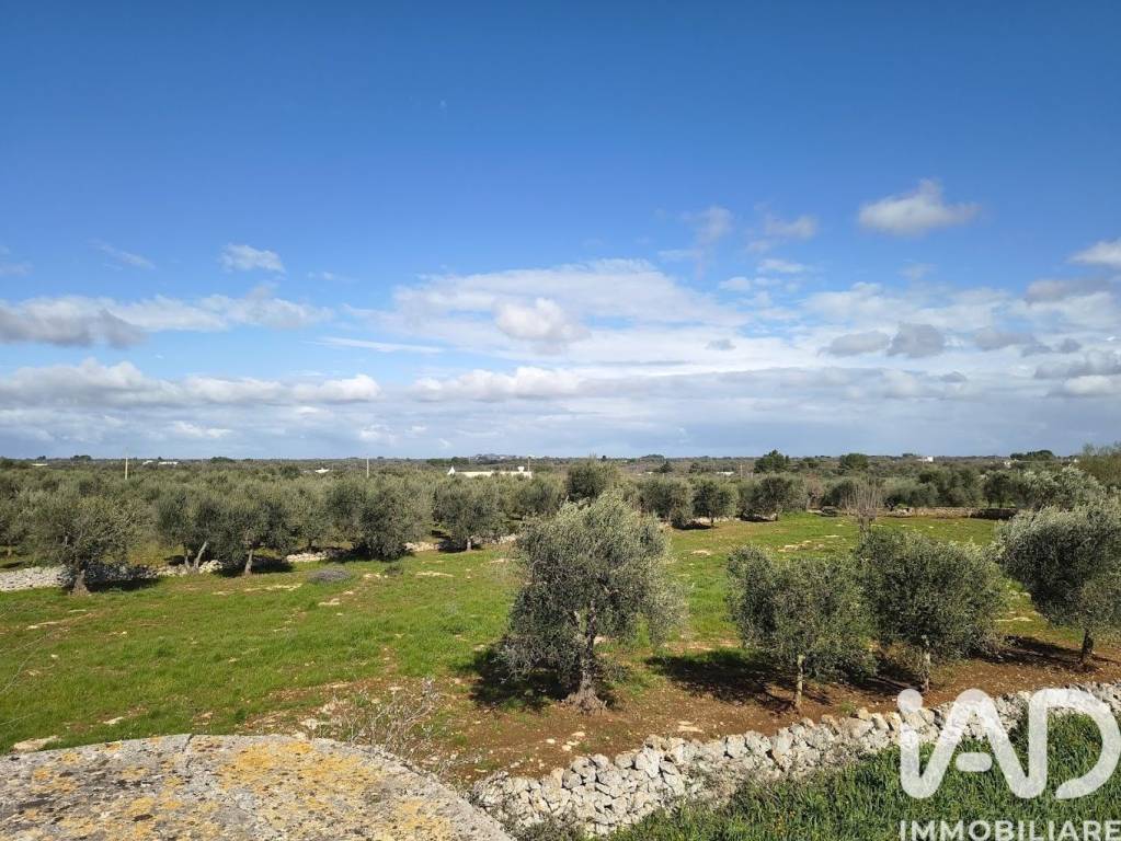 immagine annuncio 4 di 8