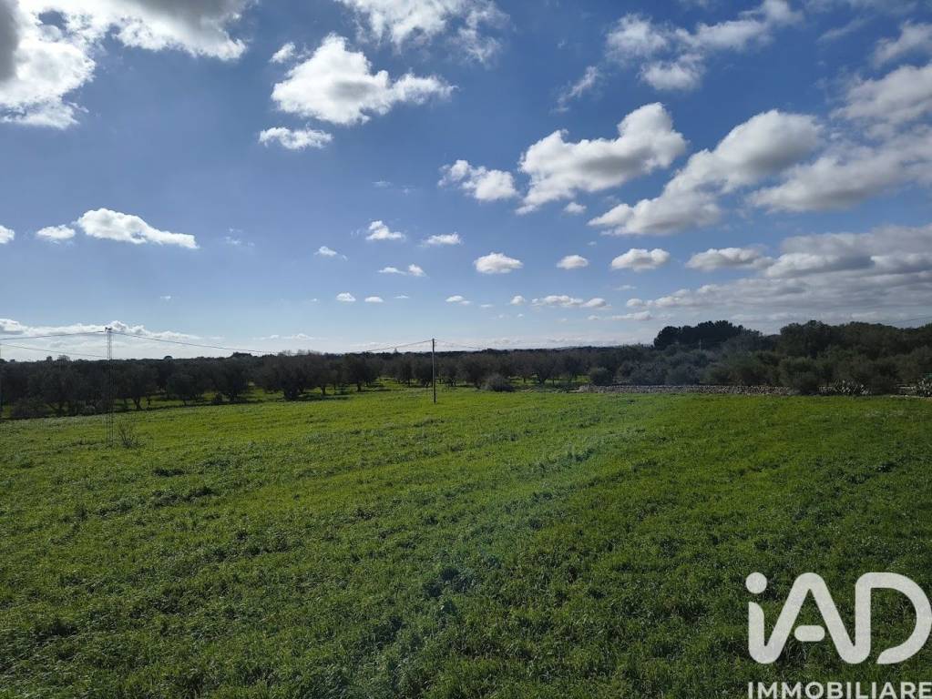 immagine annuncio 6 di 8