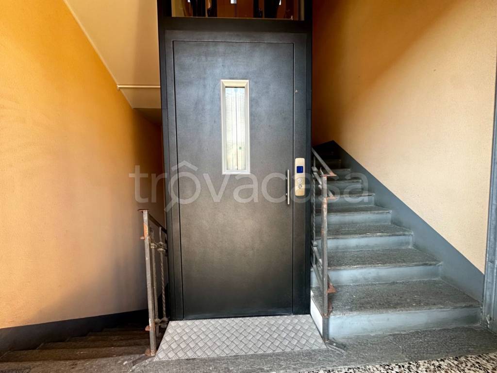 immagine annuncio 11 di 14