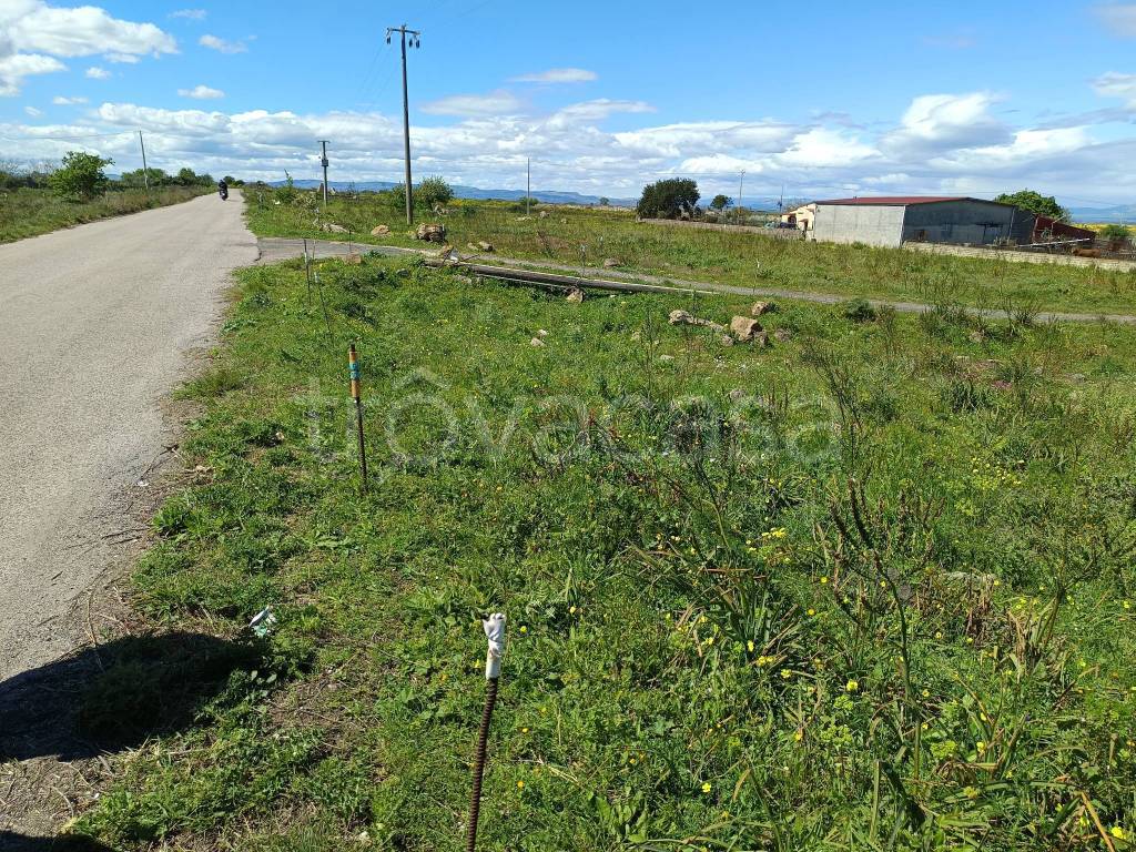 immagine annuncio 7 di 14