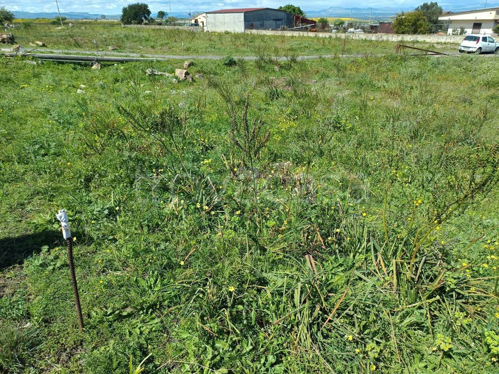 immagine annuncio 8 di 14