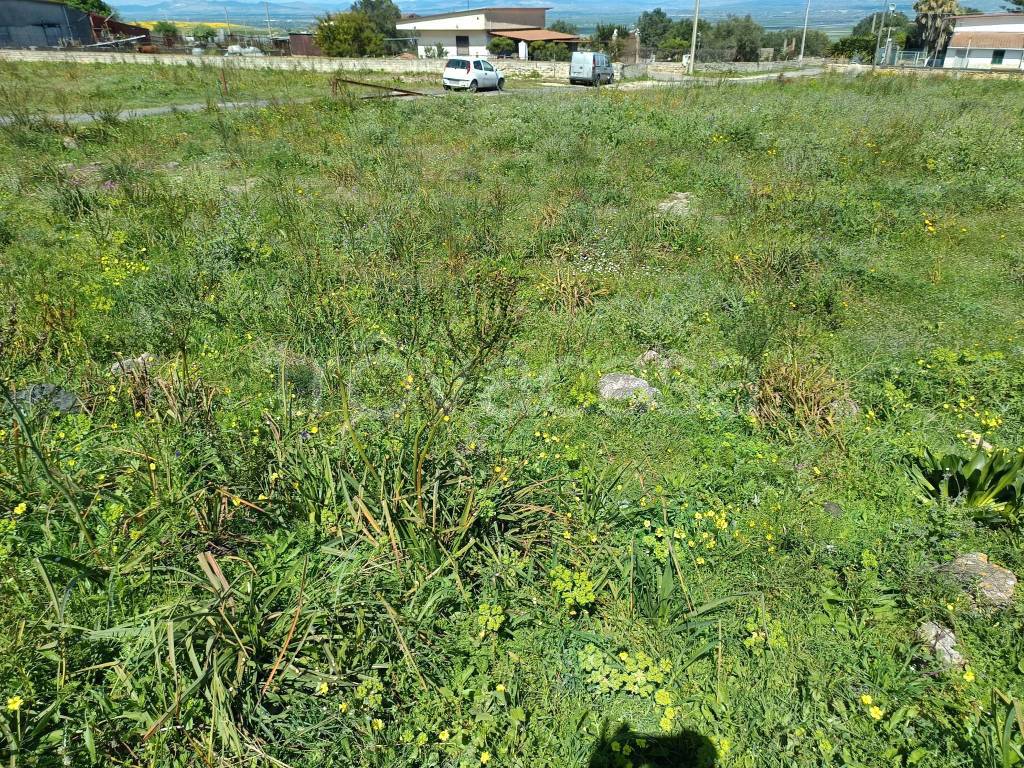 immagine annuncio 9 di 14