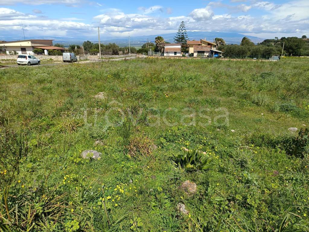 immagine annuncio 11 di 14