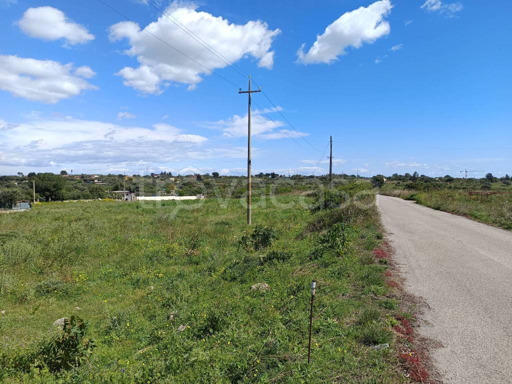 immagine annuncio 12 di 14