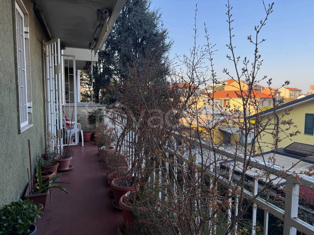 immagine annuncio 8 di 15