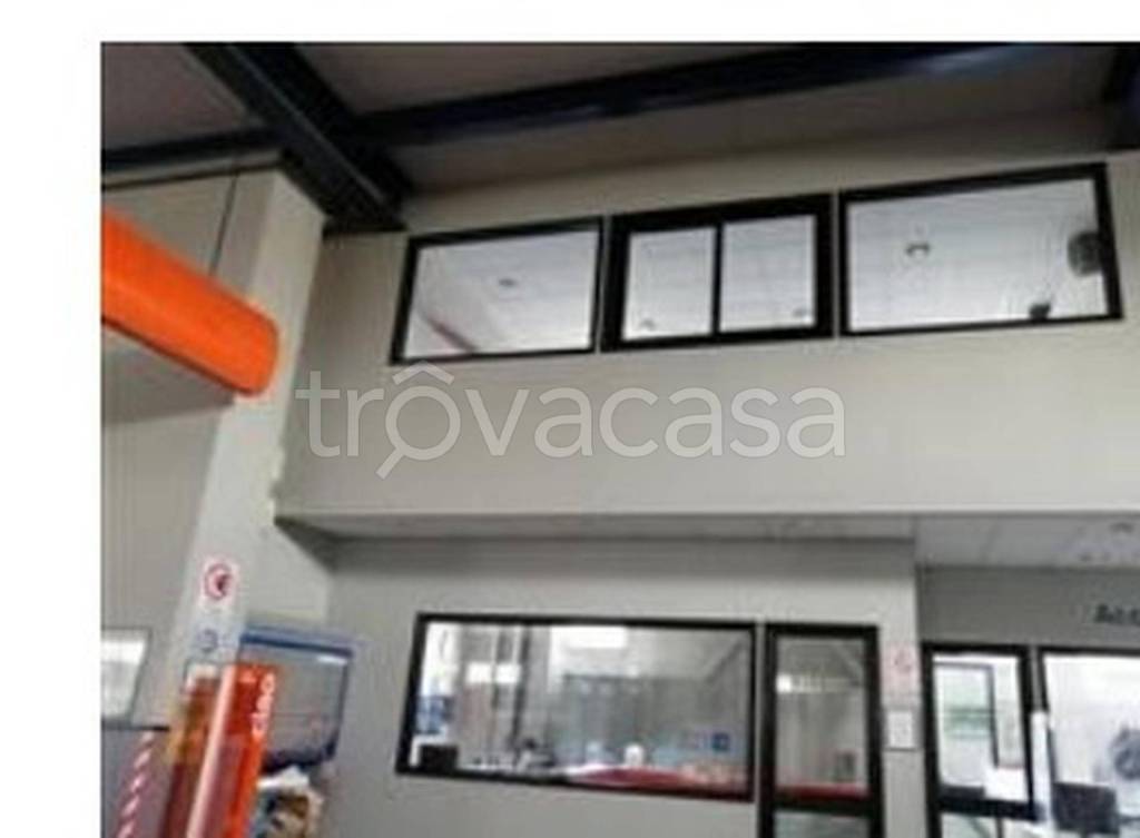 immagine annuncio 7 di 11