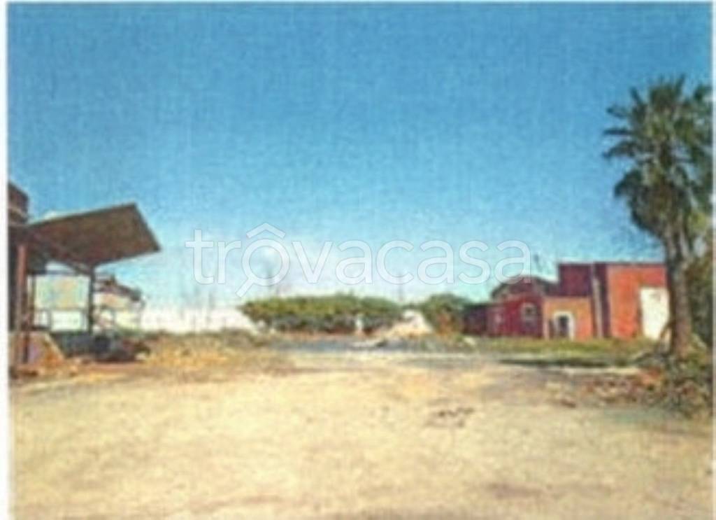 immagine annuncio 11 di 13