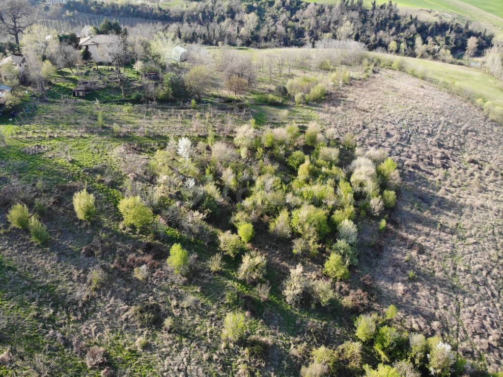 immagine annuncio 3 di 7